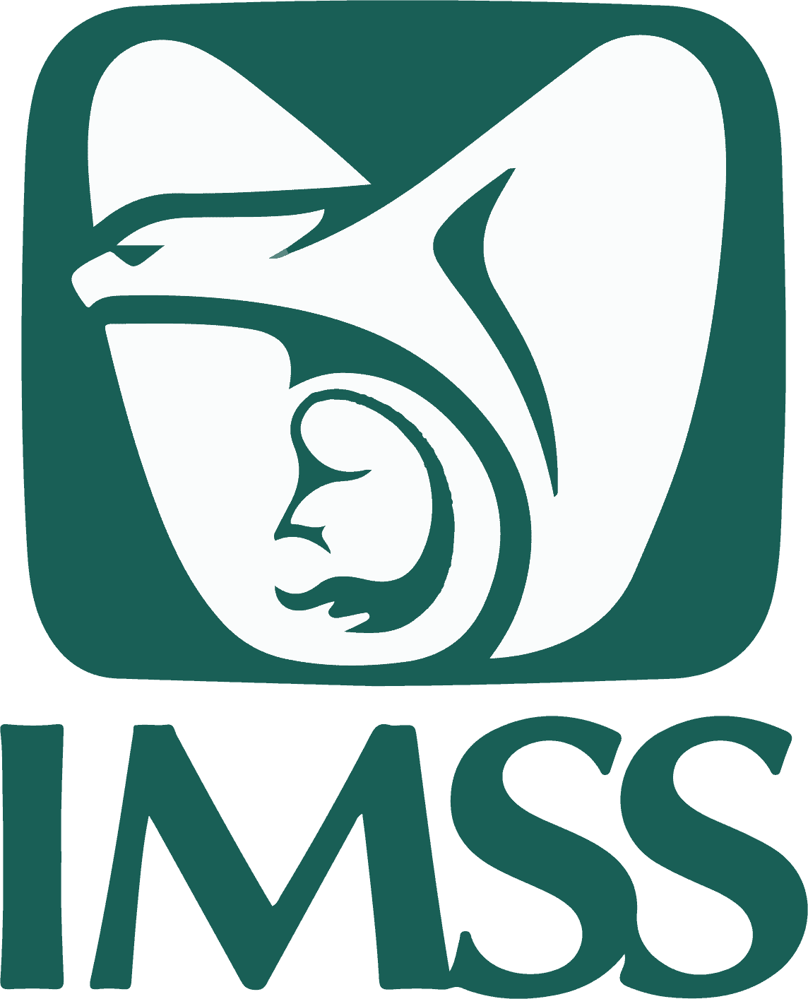 imss-logo